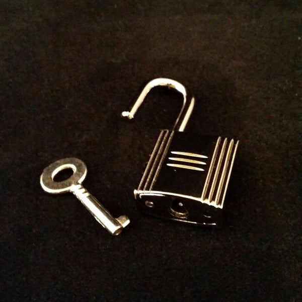 silver padlock purse handbag jewelry accessory necklace leather